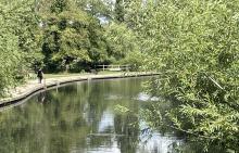 The Cam at Sheep's Green The Cam at Sheep's Green