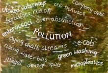 Painting of concerns about the Cam